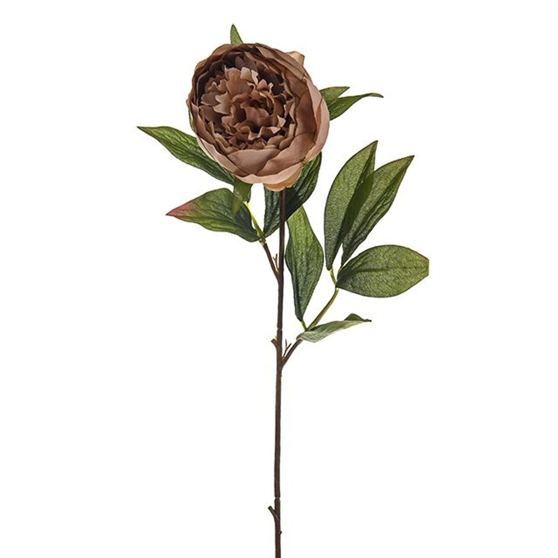 Caramel Faux Peony Single Stem Floral Accessories