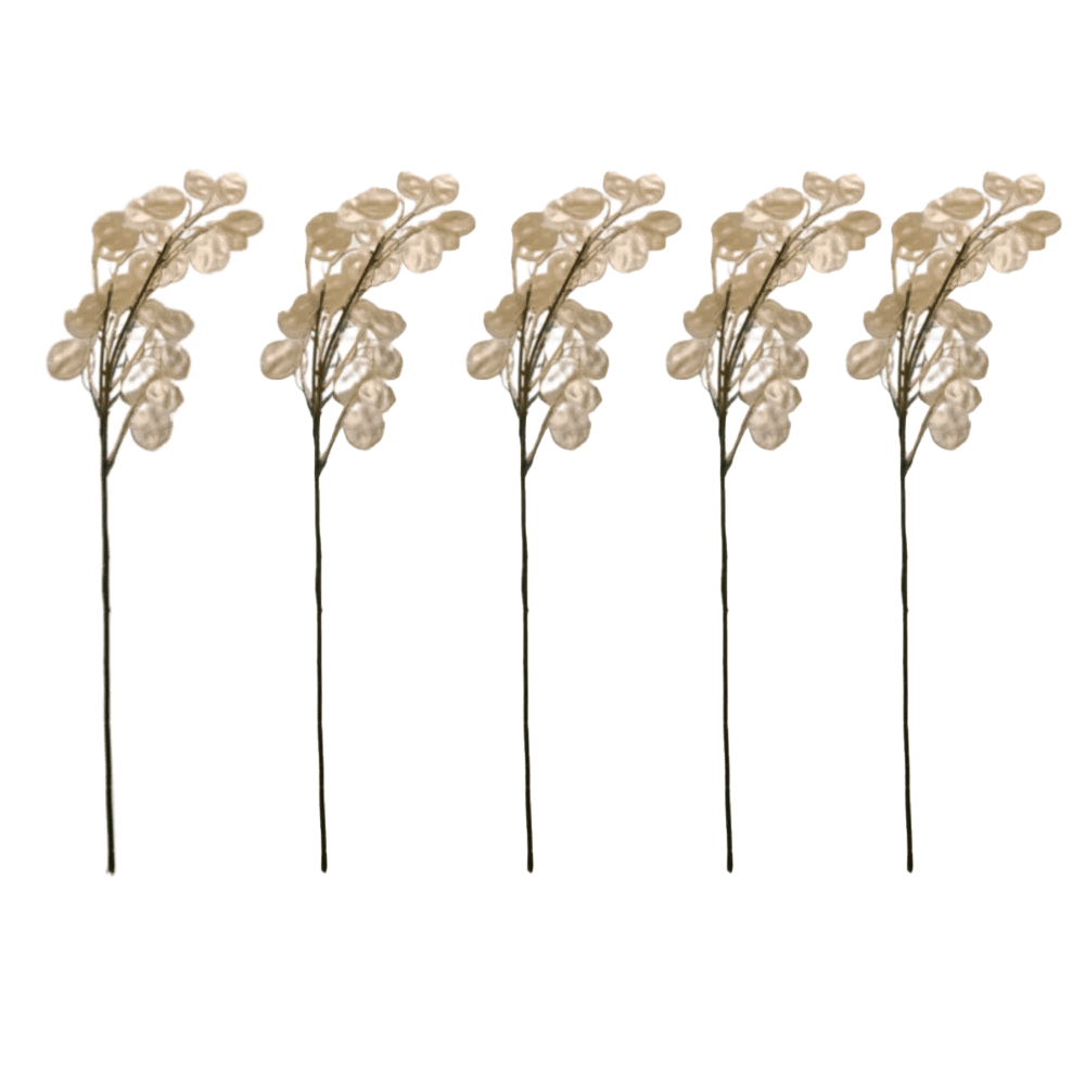 Champagne Faux Honesty Single Stem- Set of 5