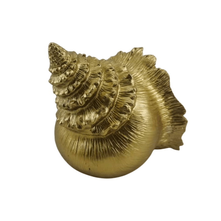 Decorative Gold Conch Shell Ornament Accessories