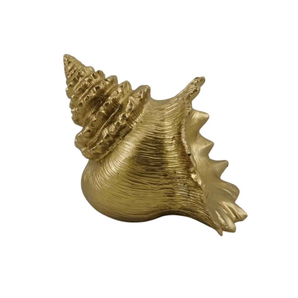 Decorative Gold Conch Shell Ornament Accessories