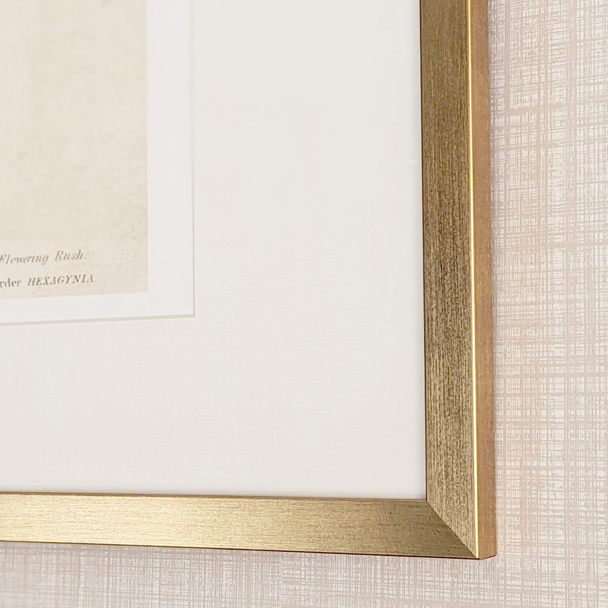 Diana Gold Framed Neutral Flower Wall Art - I Accessories