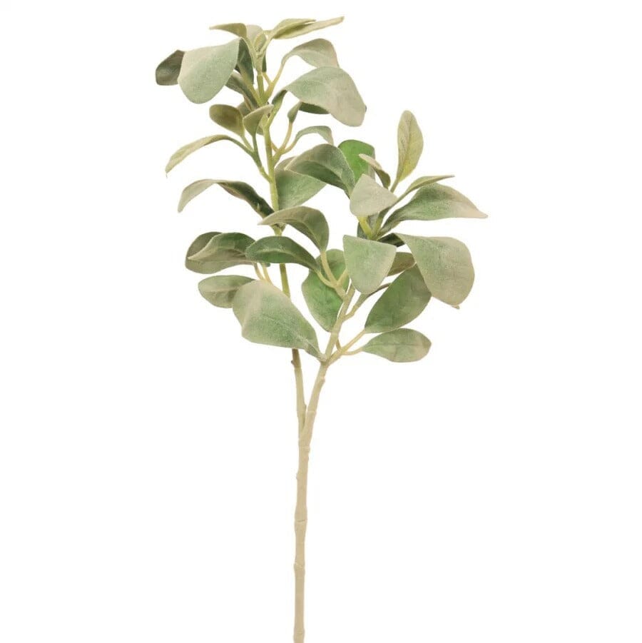 Faux Light Green Lambs Ear Single Stem Accessories