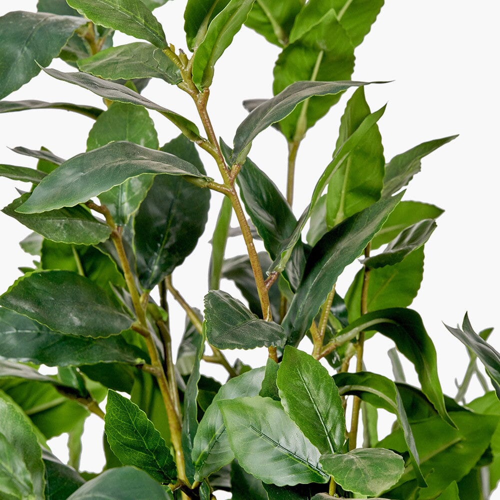 Faux Potted Bay Tree Accessories