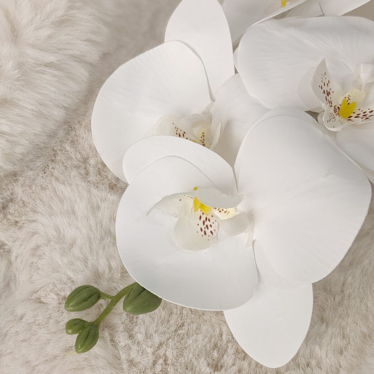 Faux White Orchid Single Stem Floral Accessories