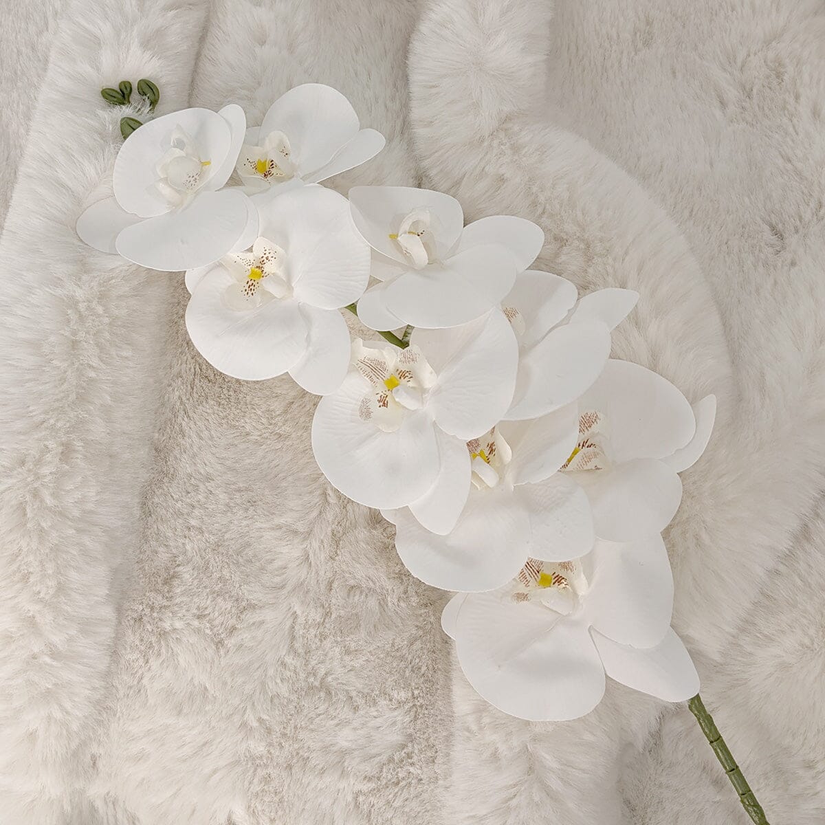 Faux White Orchid Single Stem Floral Accessories
