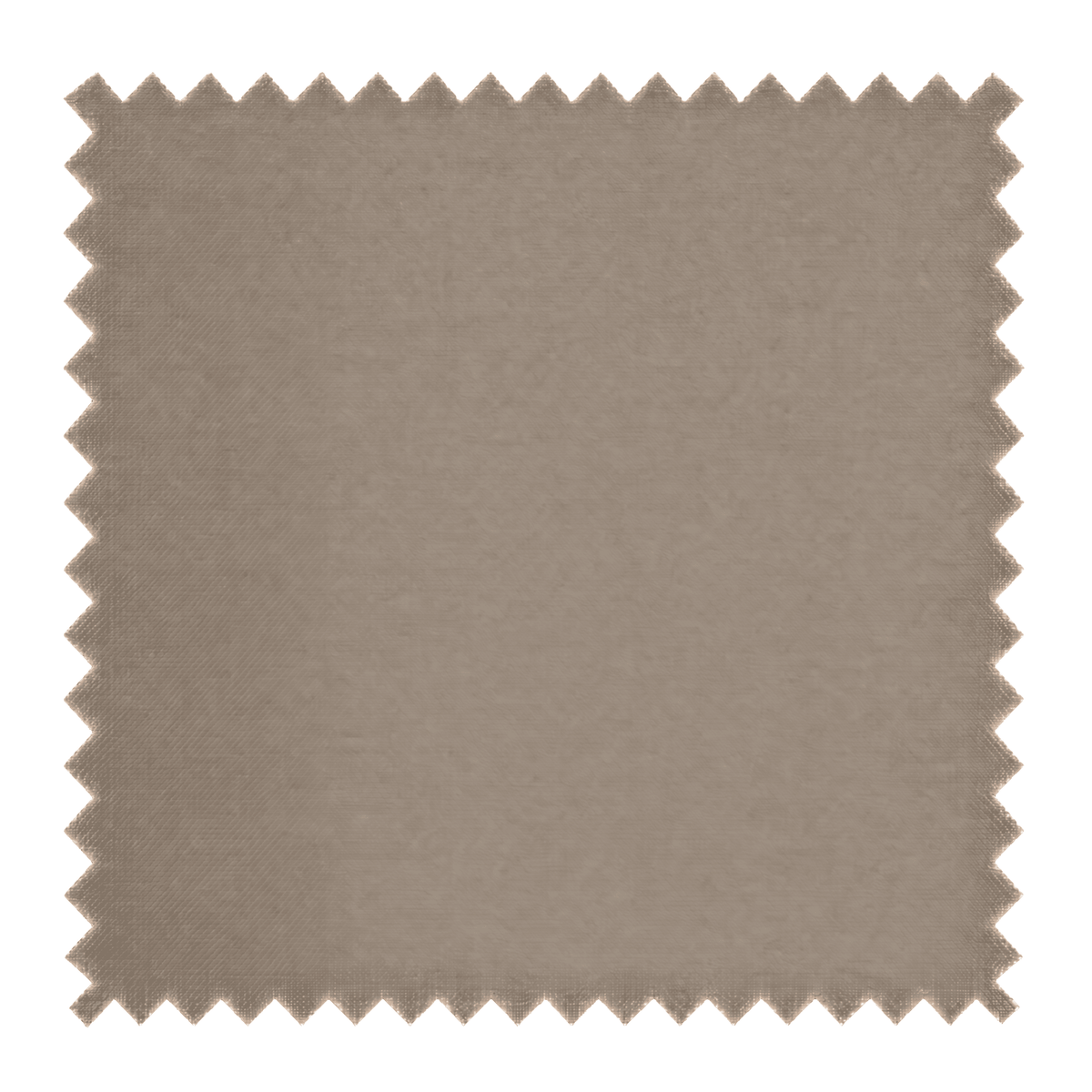 Mink Velvet Fabric Sample Sample