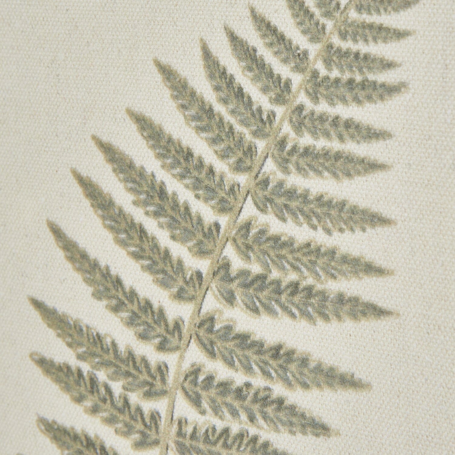 Nia Sage Green Fern Leaf Print Framed Wall Art Accessories