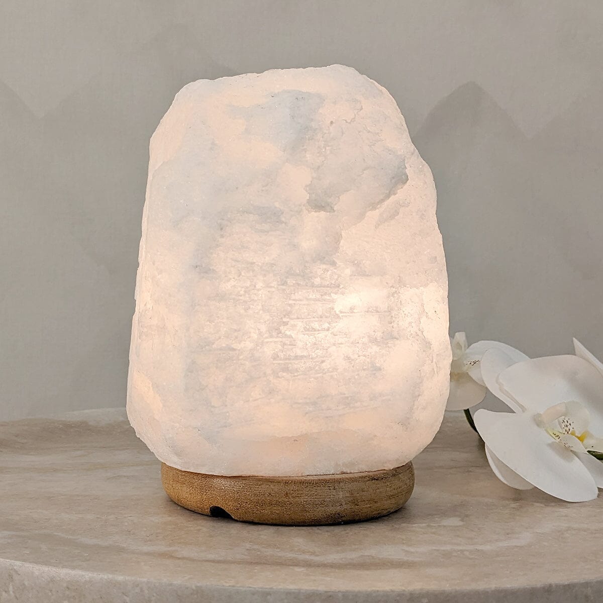 Revive White Natural Salt Lamp on Wooden Base Lighting