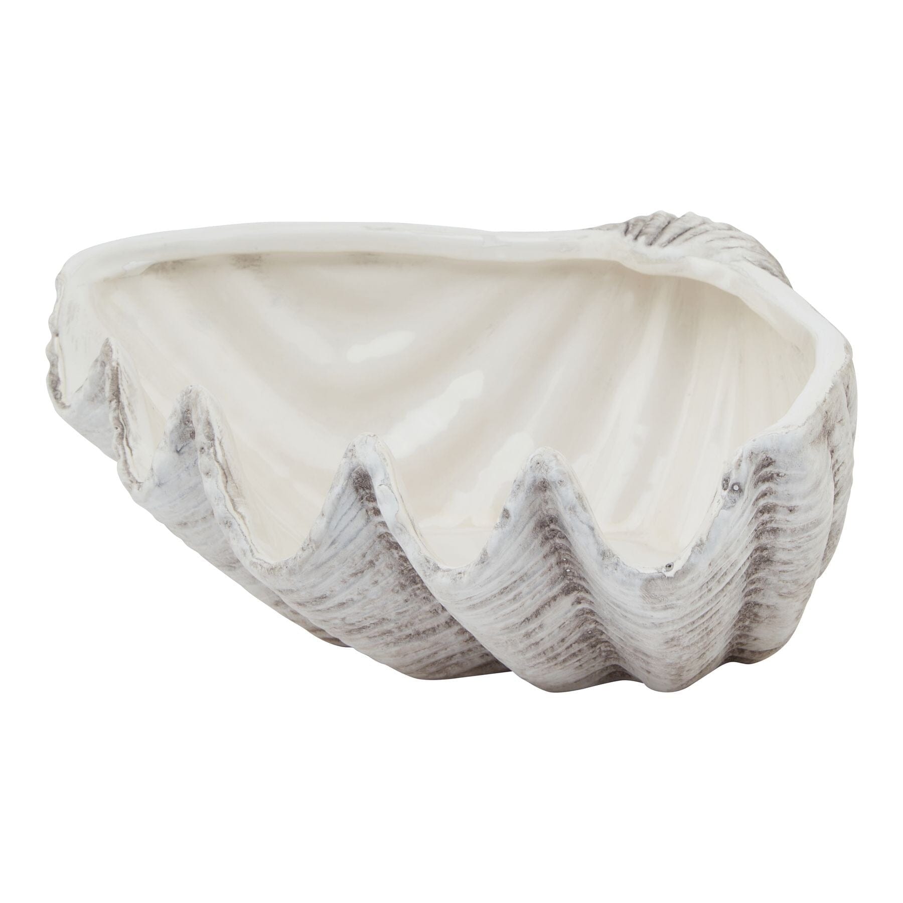 Solana Decorative Ceramic Shell Bowl Accessories