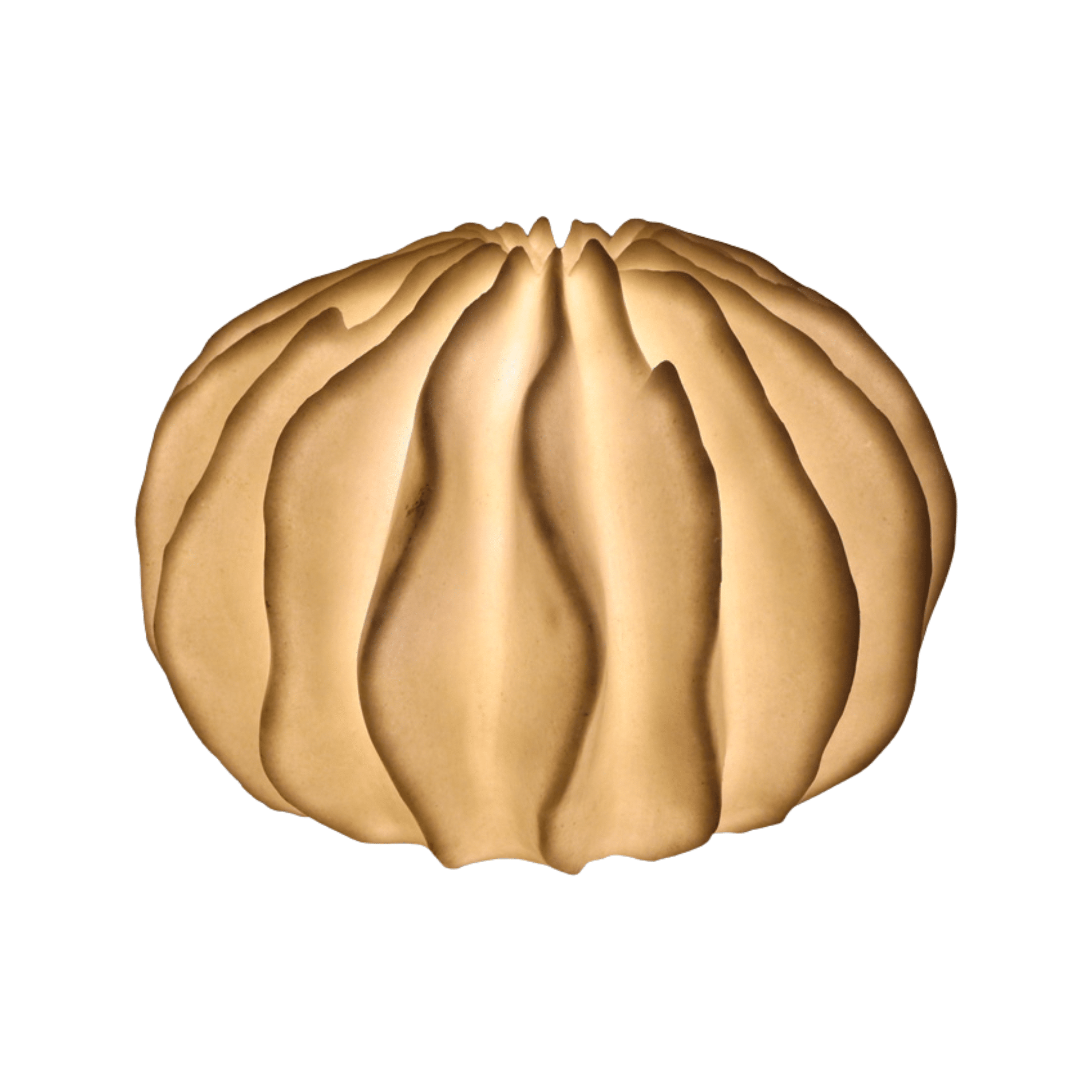 Telma Coral Shaped Decorative Table Lamp Lighting