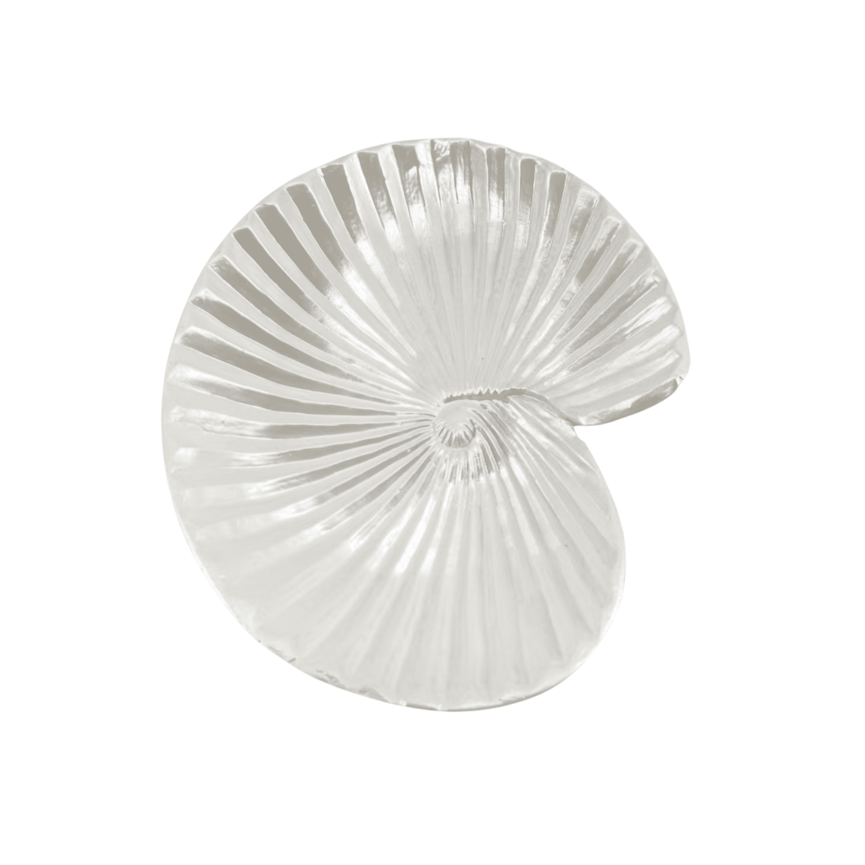 Tirso Pearlescent Shell Spiral Trinket Dish Accessories