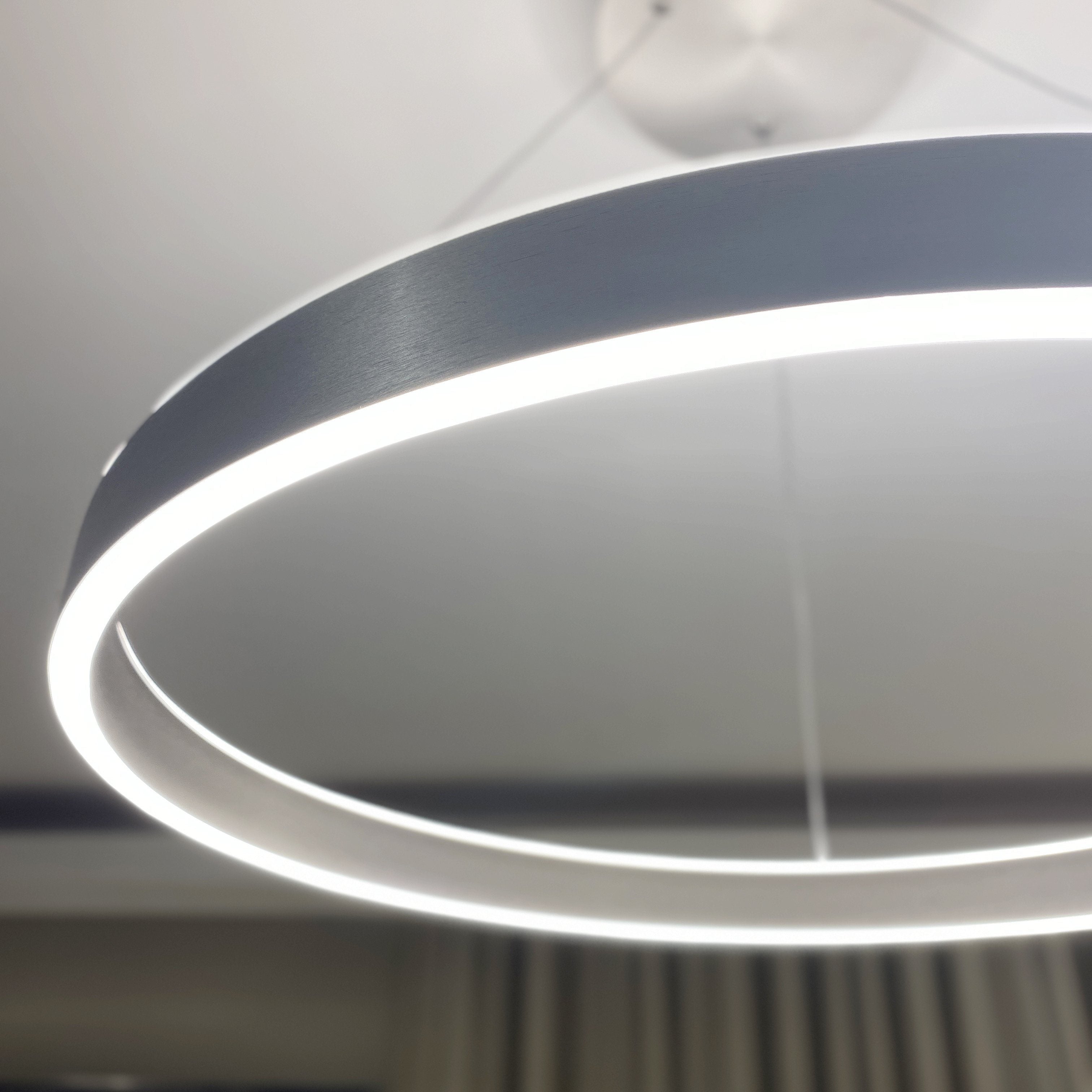 Aureola Matt Nickel Halo Ceiling Light Lighting