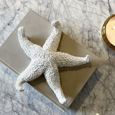 Ada White Textured Decorative Starfish Ornament Accessories 