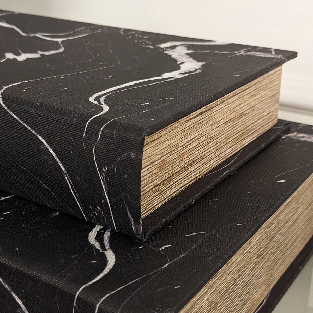 Casima Black & White Decorative Book Boxes - Set of 2 Accessories 