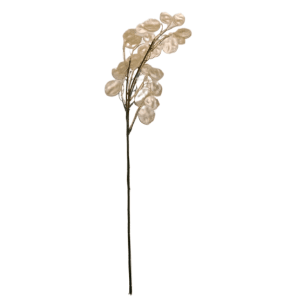 Champagne Faux Honesty Single Stem Accessories 