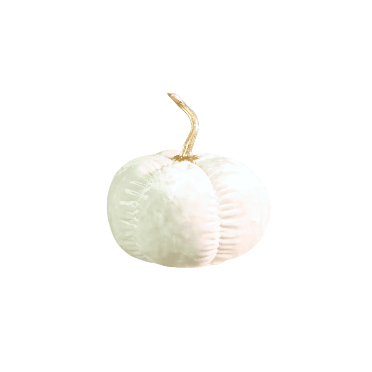 Cream Velvet Pumpkin Accessories 
