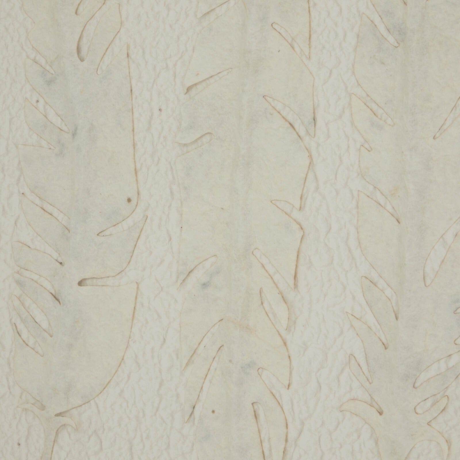 Cyrus Cream Feather Print Wall Art in Wooden Frame Accessories 