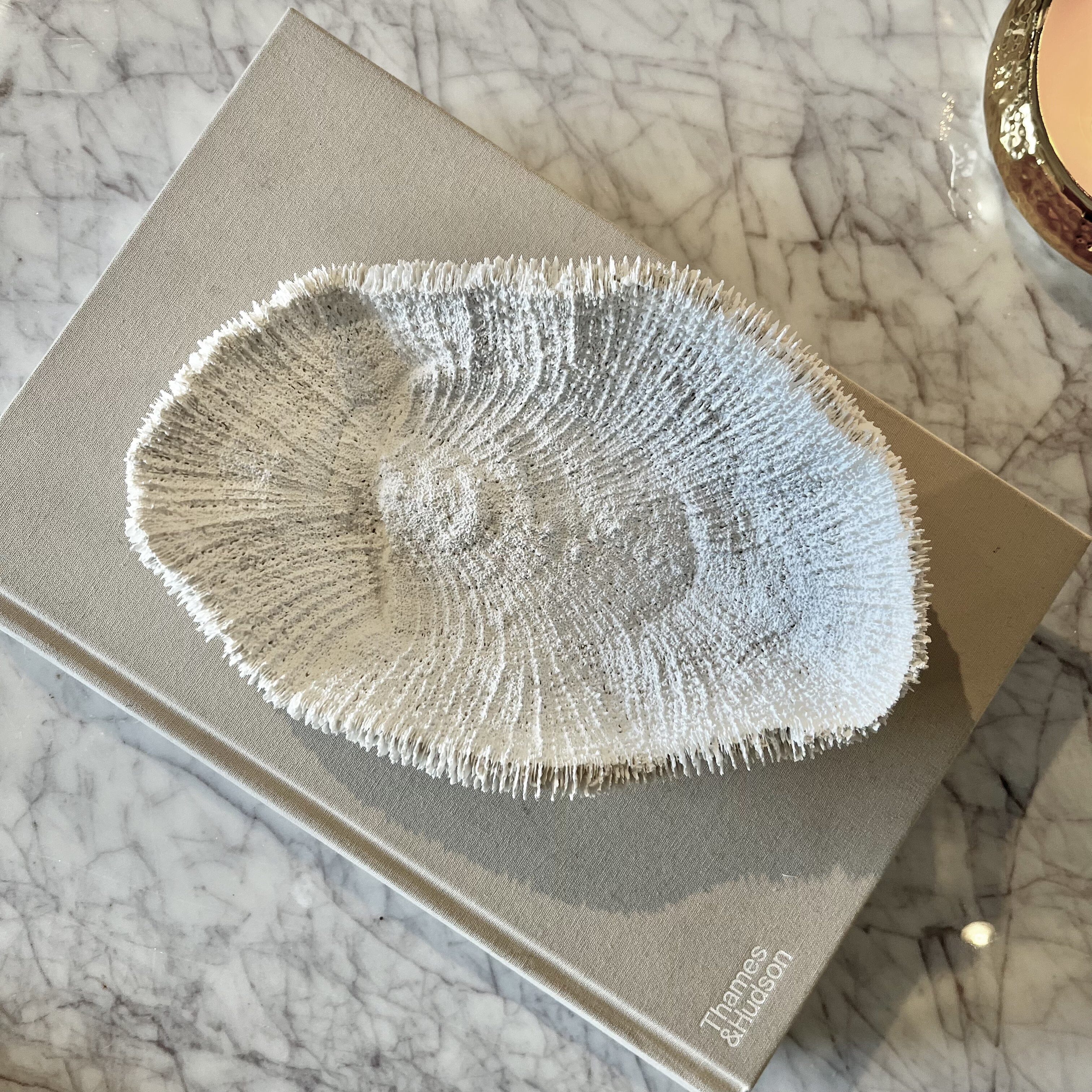 Darcey White Faux Coral Textured Decorative Dish Accessories 