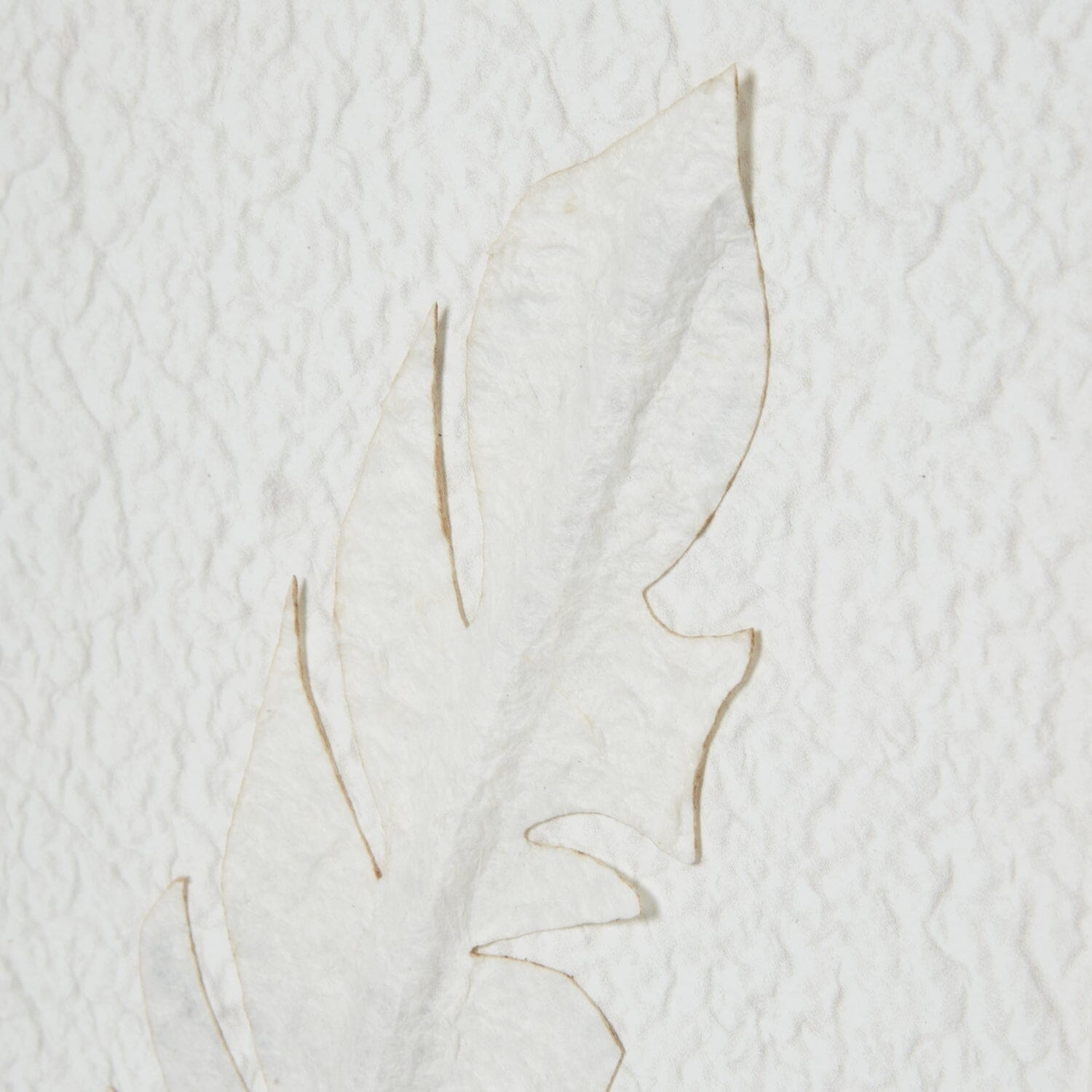 Delilah Square White Feathers Textured Framed Wall Art Accessories 
