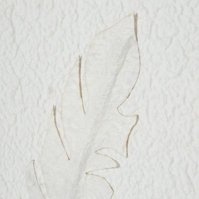 Delilah Square White Feathers Textured Framed Wall Art Accessories 