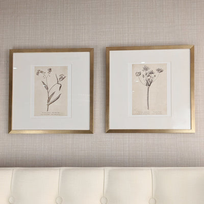 Diana Gold Framed Neutral Flower Wall Art - II Accessories 
