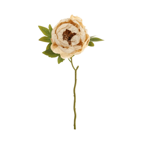 Faux Oyster Dried Touch Closed Peony Single Stem Floral Accessories 