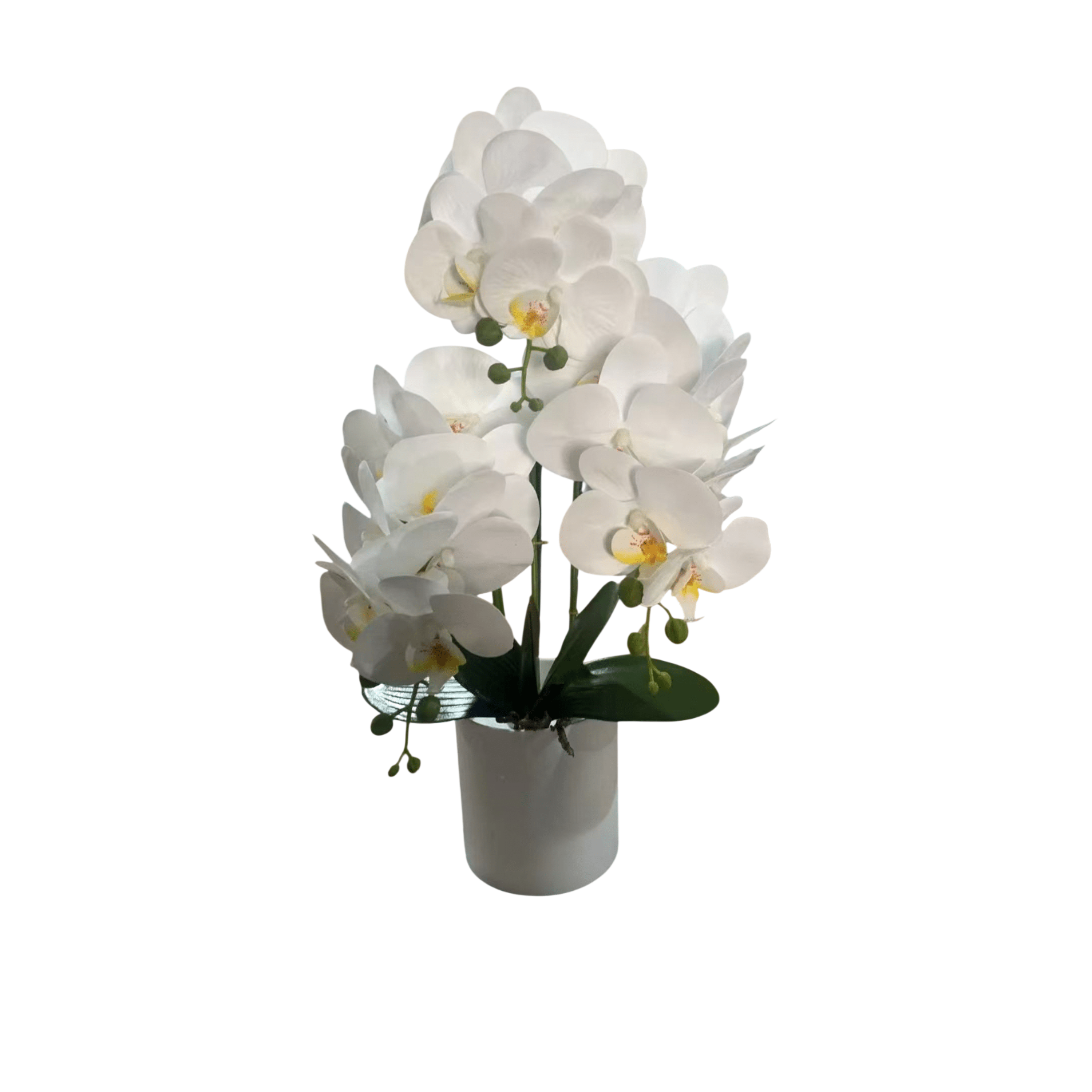 Faux White Orchid in Ceramic Pot Accessories 