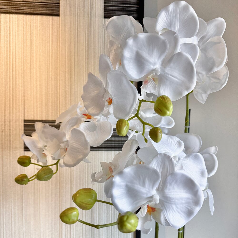 Faux White Orchid in Moss Pot Accessories 