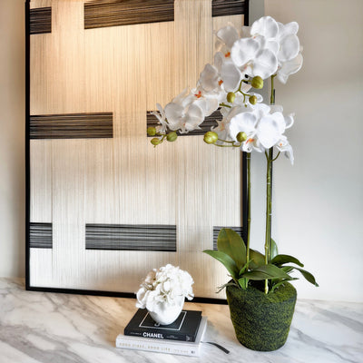 Faux White Orchid in Moss Pot Accessories 