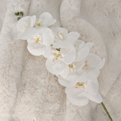 Faux White Orchid Single Stem Floral Accessories 