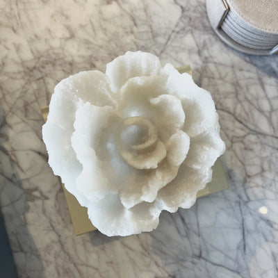 Fiorelle Mini Decorative Faux Coral on Acrylic Base Accessories 
