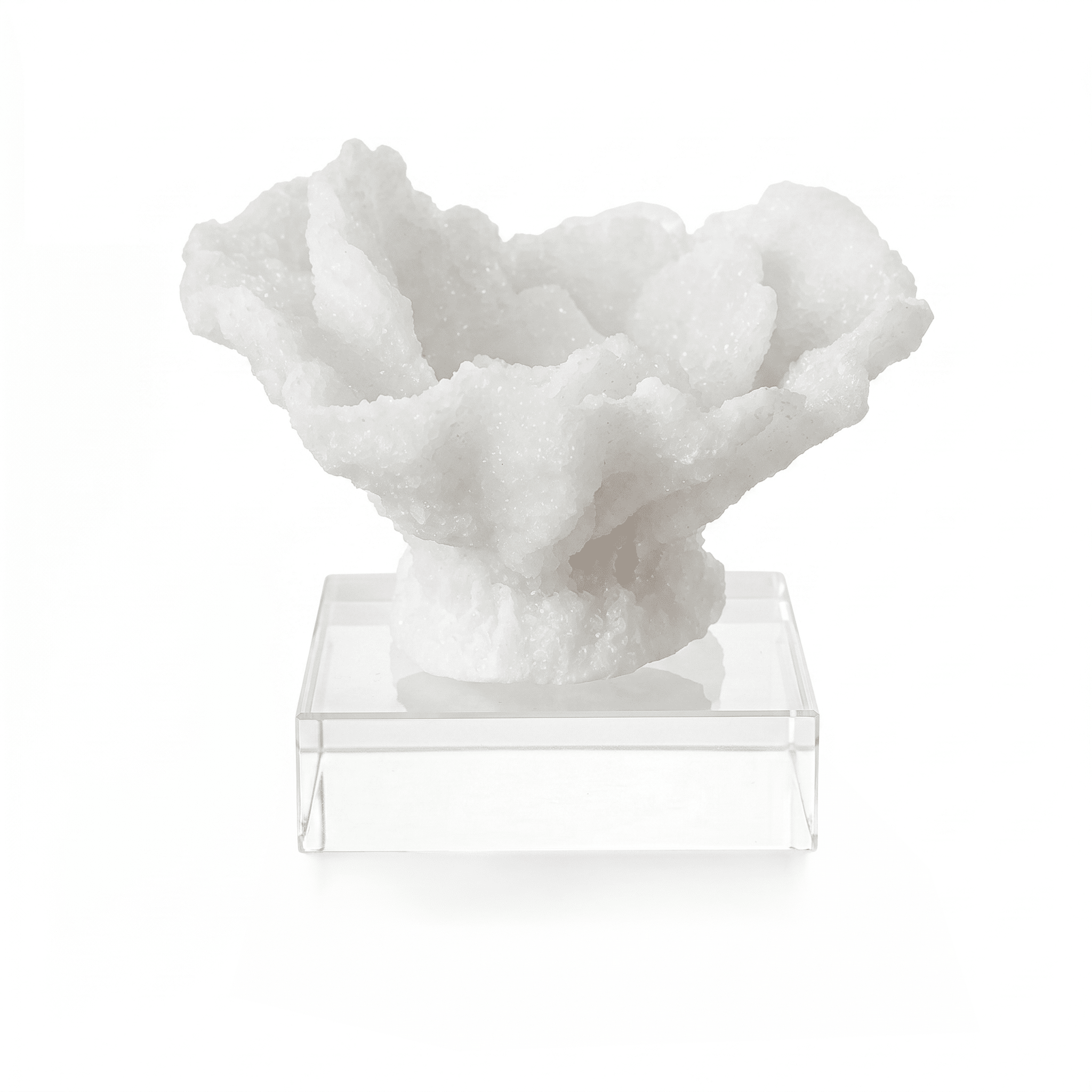 Fiorelle Mini Decorative Faux Coral on Acrylic Base Accessories 