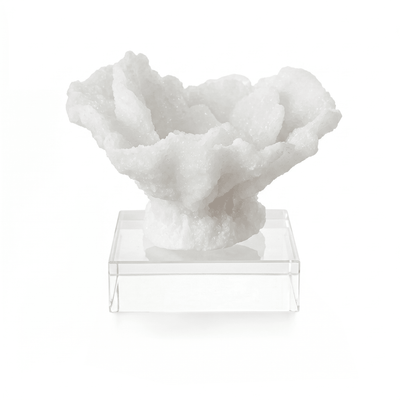 Fiorelle Mini Decorative Faux Coral on Acrylic Base Accessories 