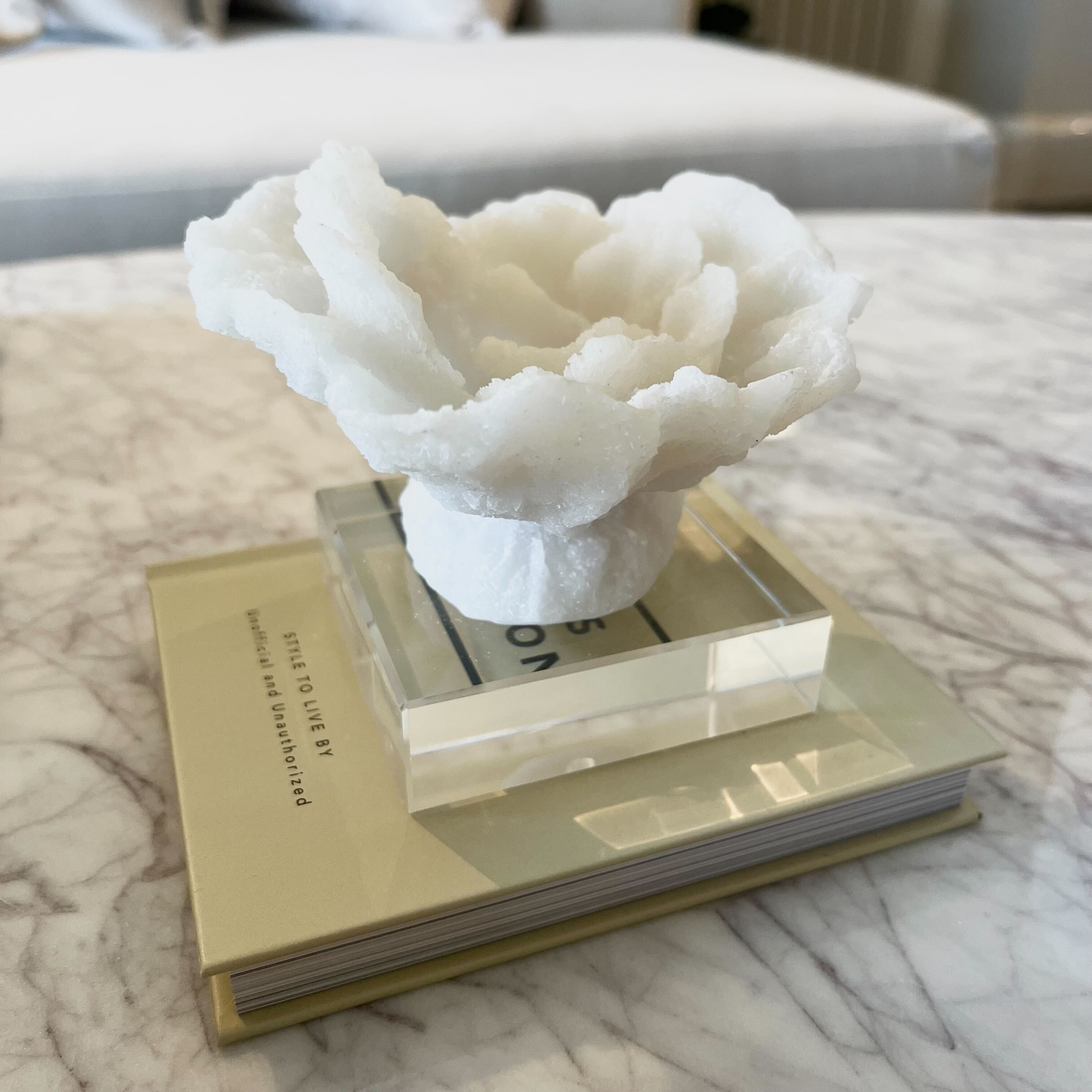 Fiorelle Mini Decorative Faux Coral on Acrylic Base Accessories 