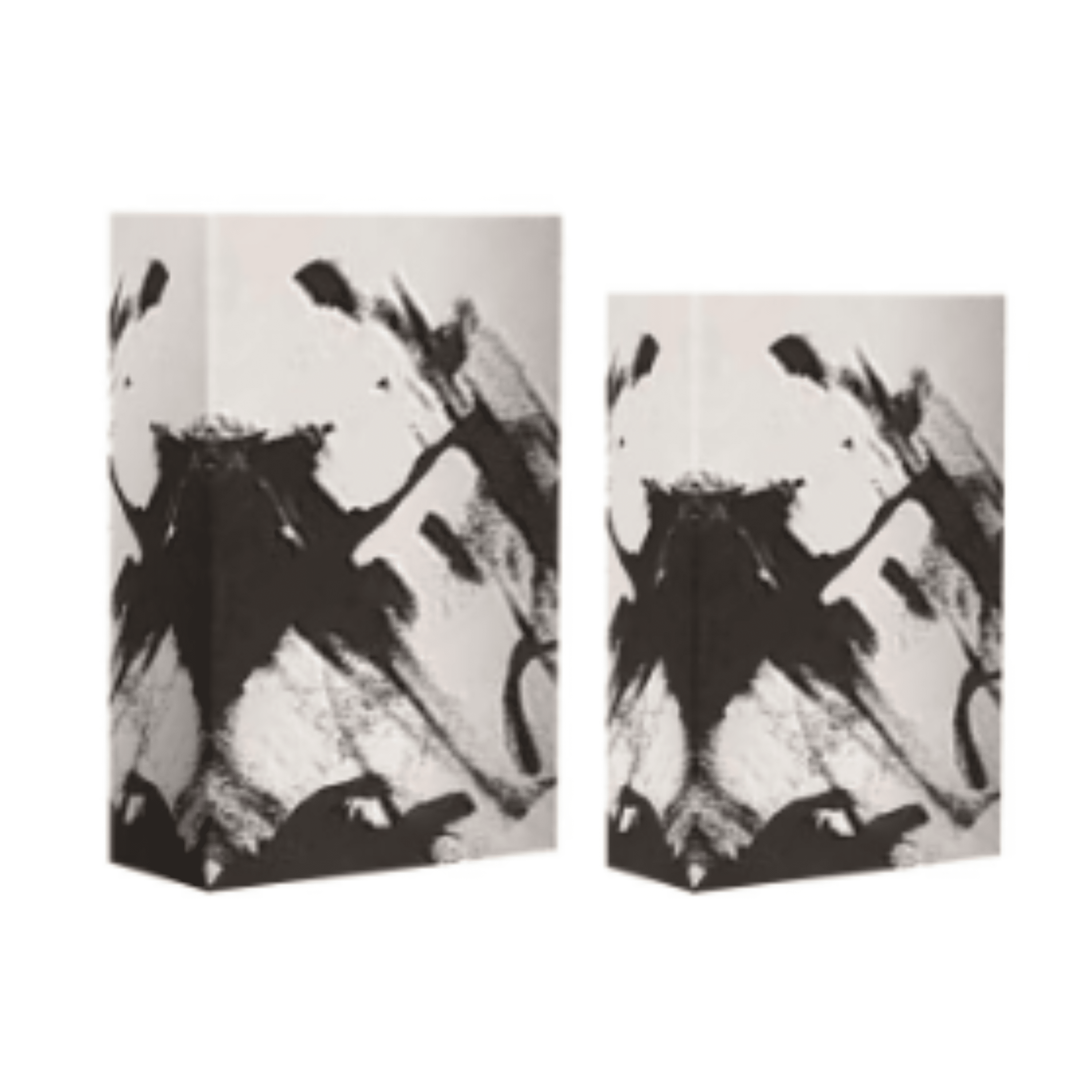 Isadora Abstract Monochrome Book Boxes- Set of 2 Accessories 