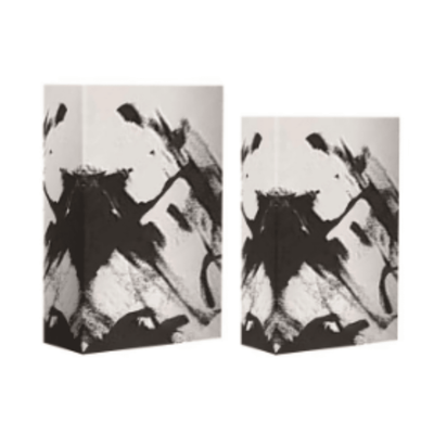 Isadora Abstract Monochrome Book Boxes- Set of 2 Accessories 