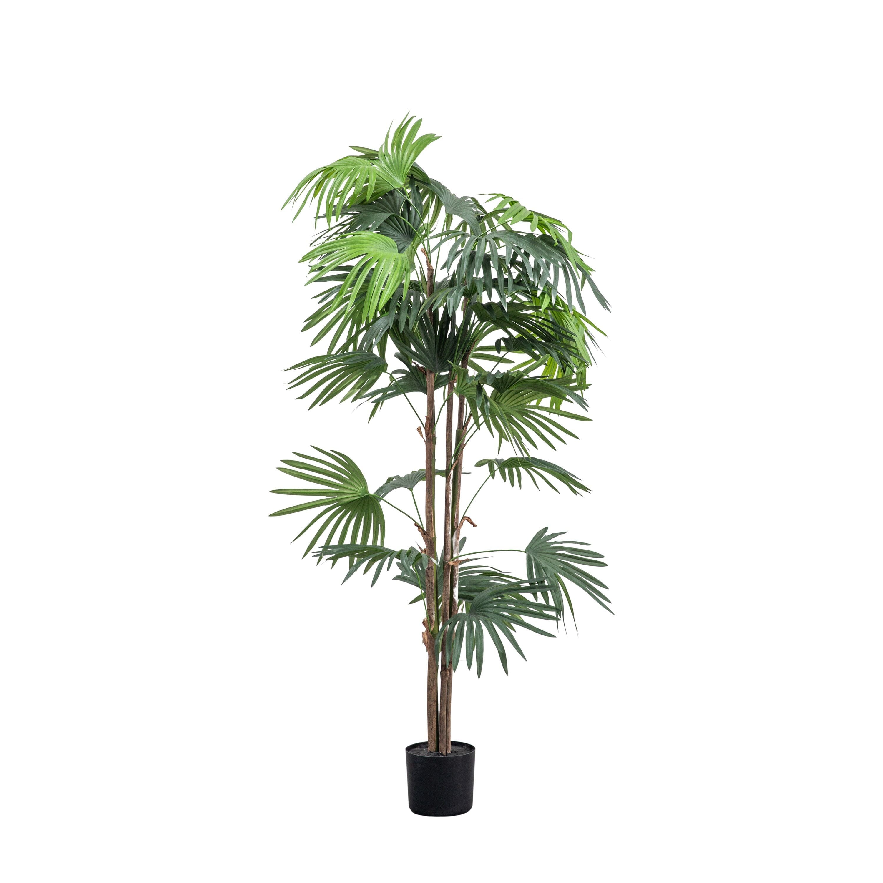 Large Faux Chinese Fan Palm Tree Accessories 