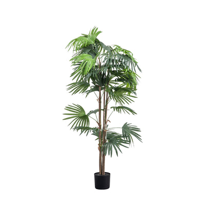 Large Faux Chinese Fan Palm Tree Accessories 