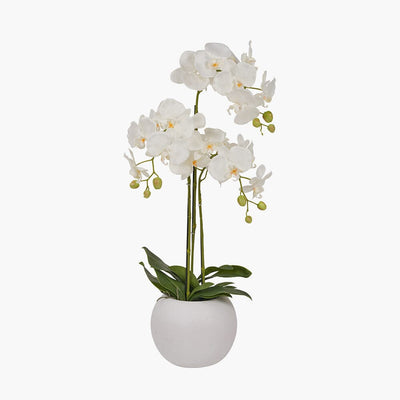 Medium White Faux Potted Orchid Decorative Floral Accessories 