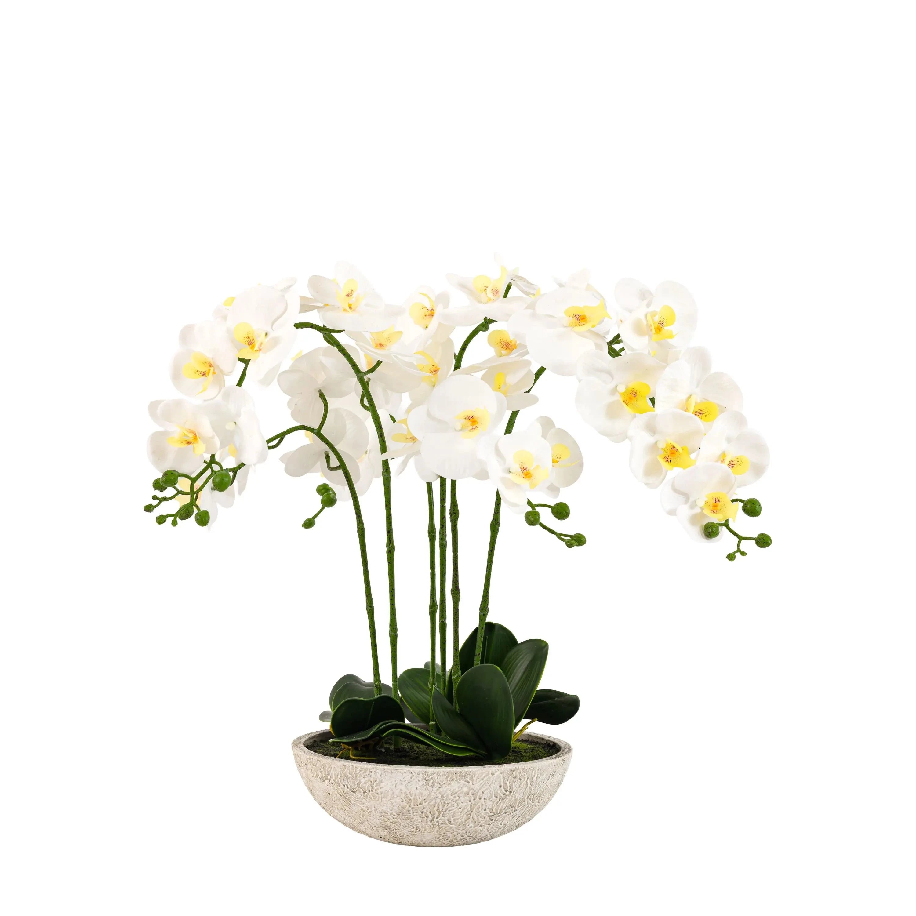 Oversized Faux Orchid in White Cement Effect Pot Accessories 