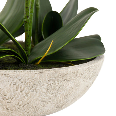 Oversized Faux Orchid in White Cement Effect Pot Accessories 