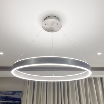 Aureola Matt Nickel Halo Ceiling Light Lighting 