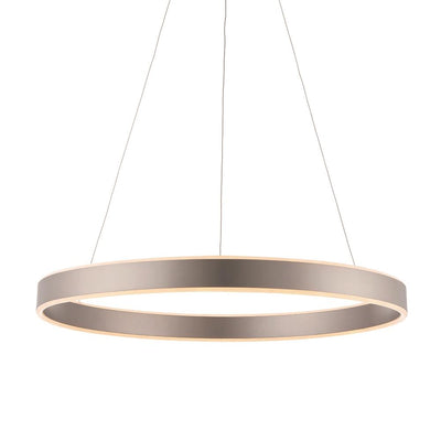 Aureola Matt Nickel Halo Ceiling Light Lighting 