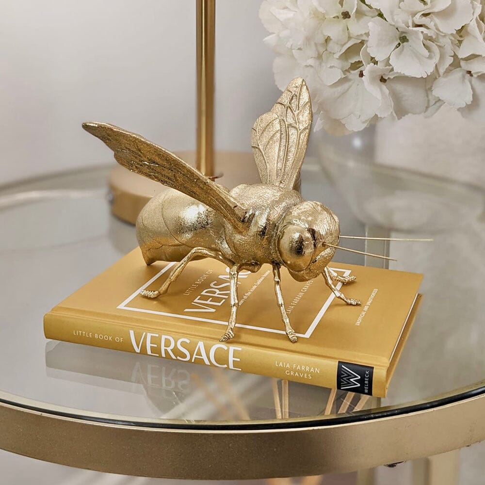 Little Book of Versace Hardback Coffee Table Book Accessories 