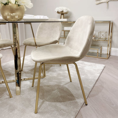 Pimlico Oatmeal Velvet and Gold Dining Chair - Set of 2 Chair 