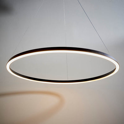 Taylin Black Halo LED Pendant Ceiling Light Lighting 